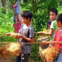 『子供たちに魅了された フィリピン植林ツアー』
