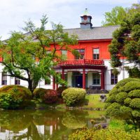 小石川植物園：　日本庭園と旧東京医学校本館