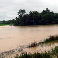 雨季の土地（バングラデシュ）